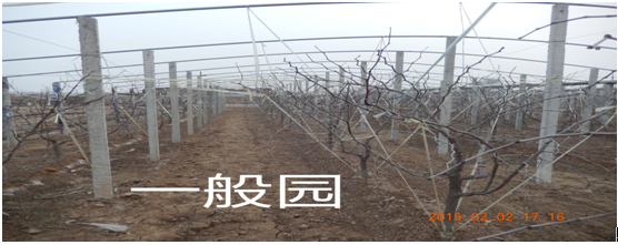 󶬗һ@www.dtdtd.com.cn